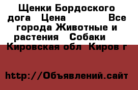 Щенки Бордоского дога › Цена ­ 60 000 - Все города Животные и растения » Собаки   . Кировская обл.,Киров г.